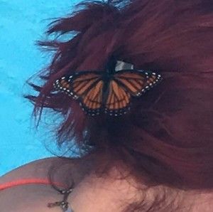 Meet your Posher, Danijela